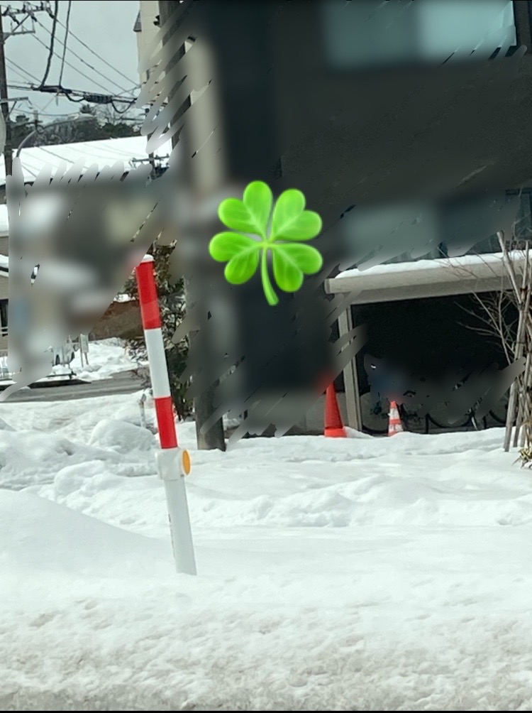 雪で覆われた歩道の様子